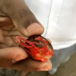 Macis Muskatblüte Gemahlen, BIO, 100g -Bon Cafe Store 27612d91fd4dde3a639d0f64964ecebd